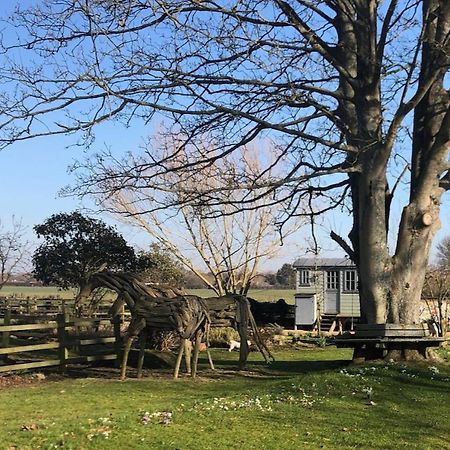 The Shepherd'S Hut @ Chichester Cottage Buitenkant foto
