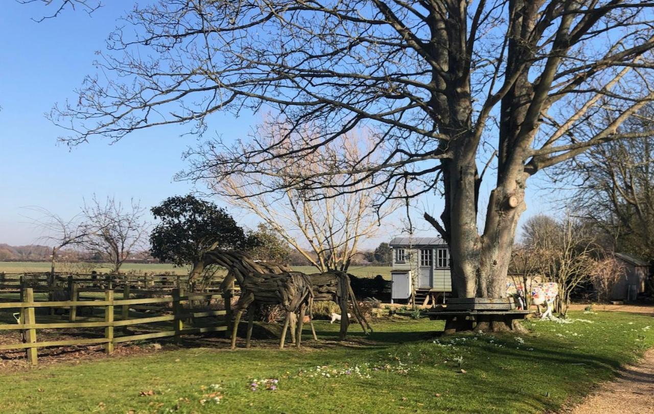 The Shepherd'S Hut @ Chichester Cottage Buitenkant foto